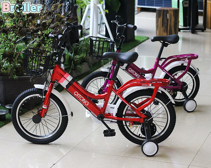 Xe đạp cao cấp cho bé TN21A05 9