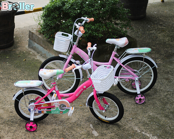 Xe đạp trẻ em TN21A04 2