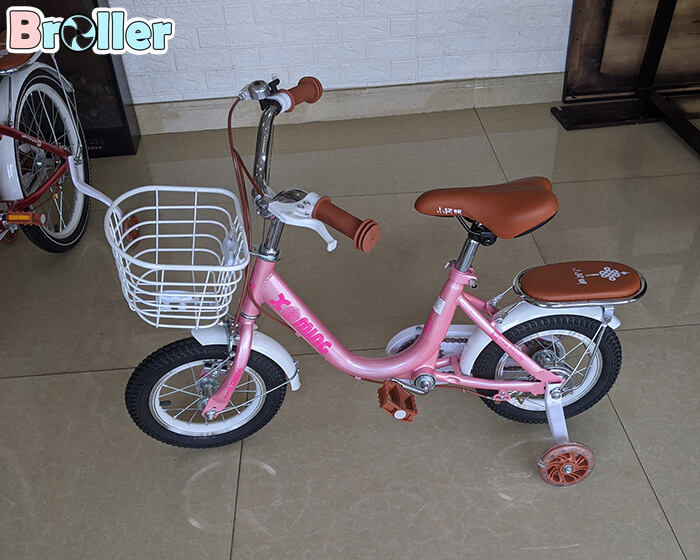 Xe đạp cao cấp XAM01 10
