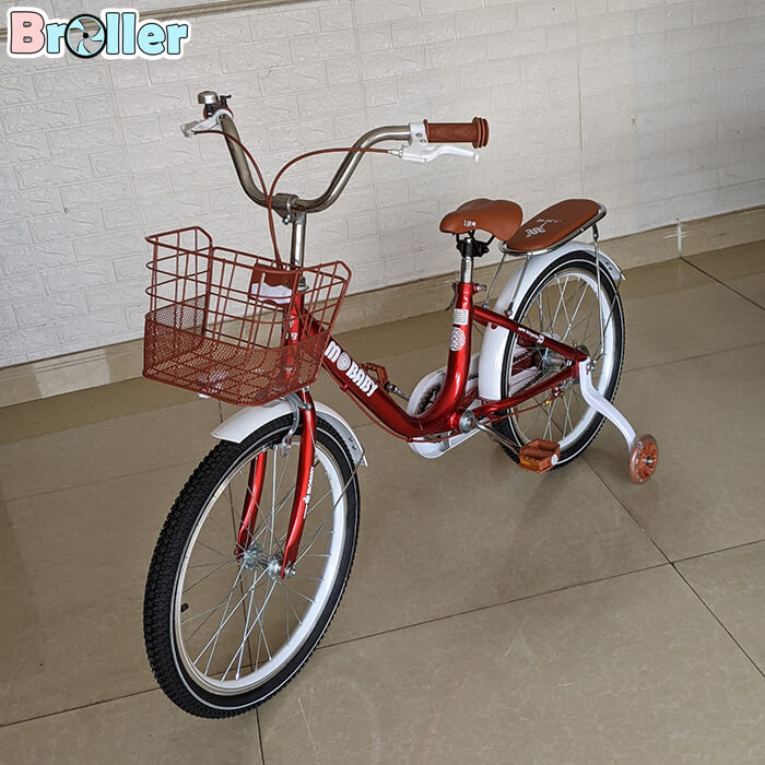 Xe đạp cao cấp XAM01 5