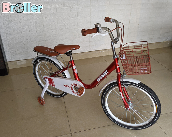 Xe đạp cao cấp XAM01 7